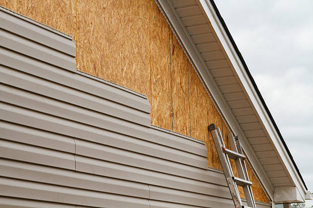 Professional Wood Siding technician working in Palm Harbor, FL